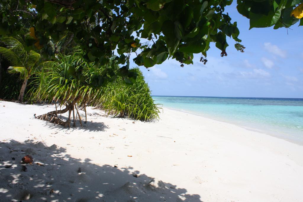 Plumeria Maldives Thinadhoo  Экстерьер фото